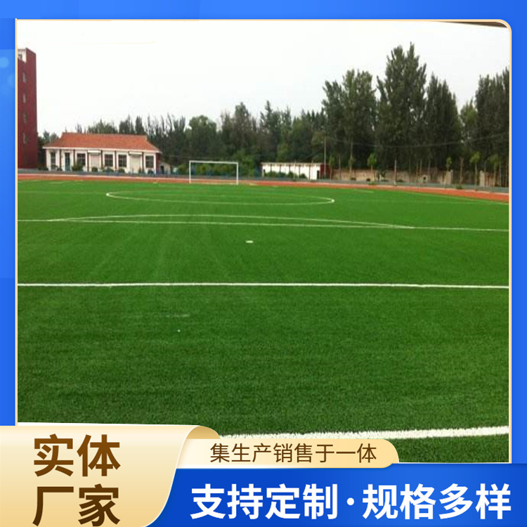 张家界市人造草坪人造草坪 - 厂家